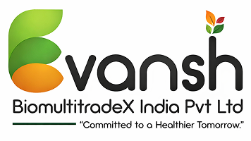 Evansh Logo
